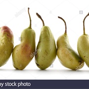 Ugly Bosc Pear