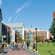 Towson University