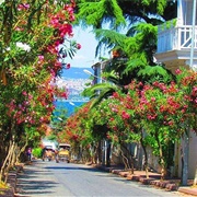 Visit Adalar, İstanbul (İslands)