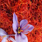 Iranian Saffron