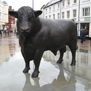 Hereford Bull Statue, Hereford, UK