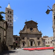 Viterbo Cathedral
