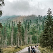 Take a Challenging Hike