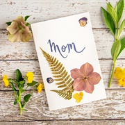 Dried Flowers and Made Cards With Them