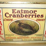 Eatmor Cranberries