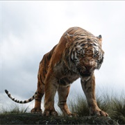 Shere Khan (The Jungle Book)