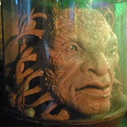 Face of Boe