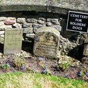 Castle Dog Cemetery, Edinburgh, Scotland