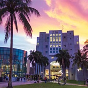 Florida International University