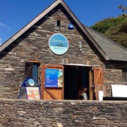 Wembury Marine Centre