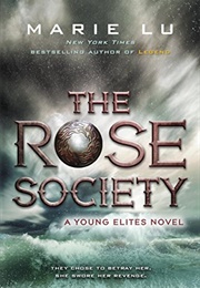 Rose Society (Maire Lu)