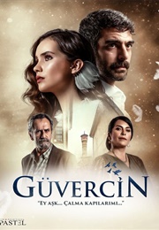 Güvercin (Pigeon) (2019)