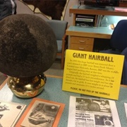World's Largest Hairball