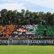 Stadio Pier Luigi Penzo