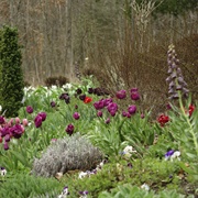 West Virginia Botanical Gardens, Morgantown