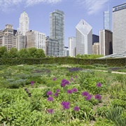 Lurie Garden