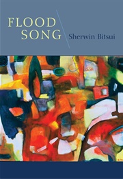 Flood Song (Sherwin Bitsui)