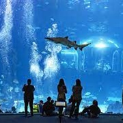 Poema Del Mar Acuarium