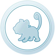 Youngster (Silver)