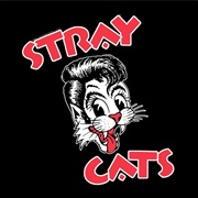 Stray Cats