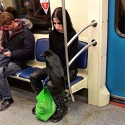 Thank You for Your Cooperation