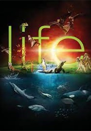 Life (2009)