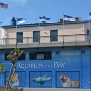 Aquarium of the Bay