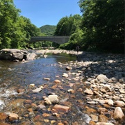 Wild & Scenic Westfield River