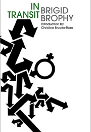 In Transit: An Heroi-Cyclic Novel (Brigid Brophy)