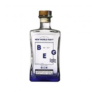 Beg New World Navy Gim