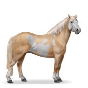Palomino Overo