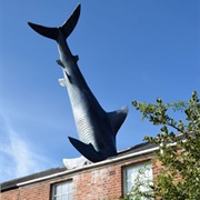 The Headington Shark, Oxford, UK