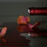 Drinking Song - House Phone