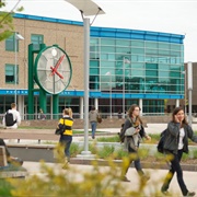 State University of New York at Purchase