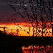 I Could Never Be Loved - Powfu