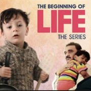 The Beginning of Life