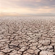 Bengal Famine 1770 Kills One-Third of Bengal