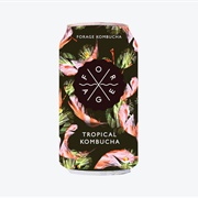 Forage Tropical Kombucha