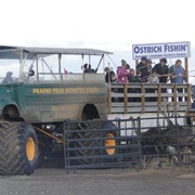 Rooster Cogburn Ostrich Ranch