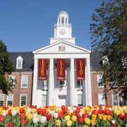 Salisbury University