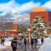 Northern Arizona University