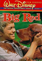 Big Red (1998 VHS) (1998)