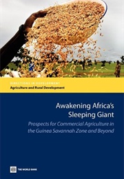 Awakening Africa's Sleeping Giant (Charles Nhova)