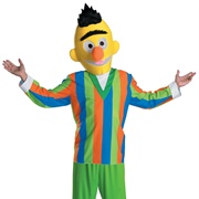Bert Costume