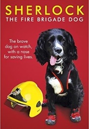 Sherlock: The Fire Brigade Dog (Paul Osborne)