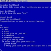 The Hitchhiker's Guide to the Galaxy (1984)