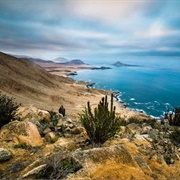 Pan De Azúcar National Park, Chile