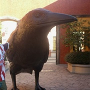 Jose Cuervo Raven