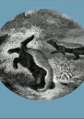 The Kiss of the Honey Badger (2019)