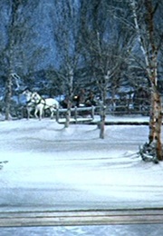 White Christmas (1954)